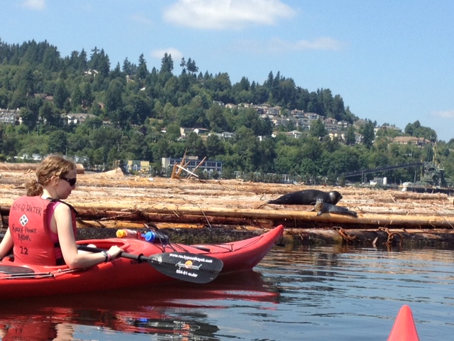 Kayaking, Summer 2013